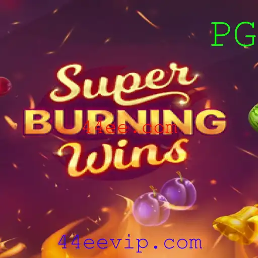 Descubra o Mundo de SuperBurningWins: Diversão e Regras do Jogo